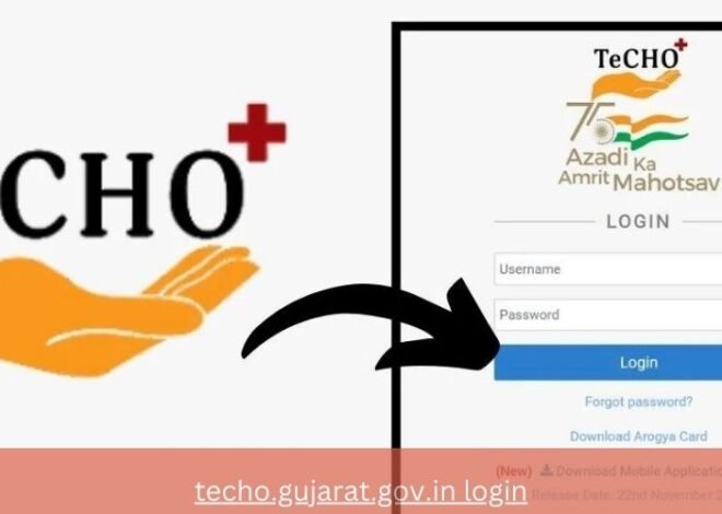 Techo.gujarat.gov.in Login Guide: Everything You Need to Know