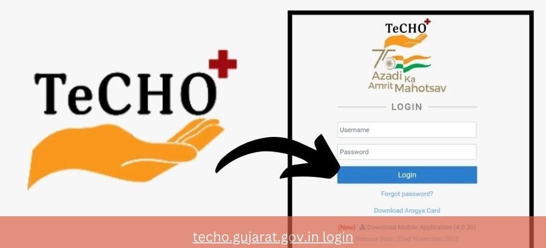 Techo.gujarat.gov.in Login Guide: Everything You Need to Know