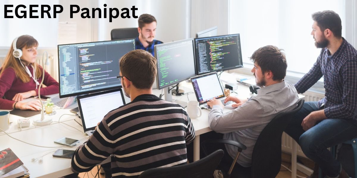 EGERP Panipat: EGERP is The Best Software Development Company in Panipat
