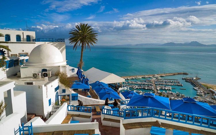 Affordable Vacation Tours for Families and Couples