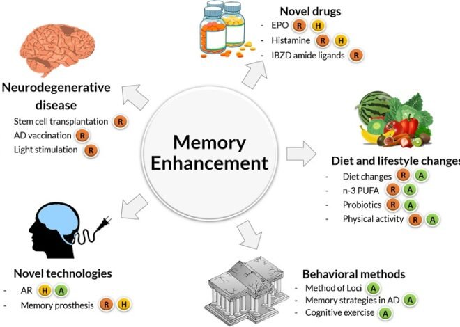 Comprehensive Memory Support Options for Aging Adults