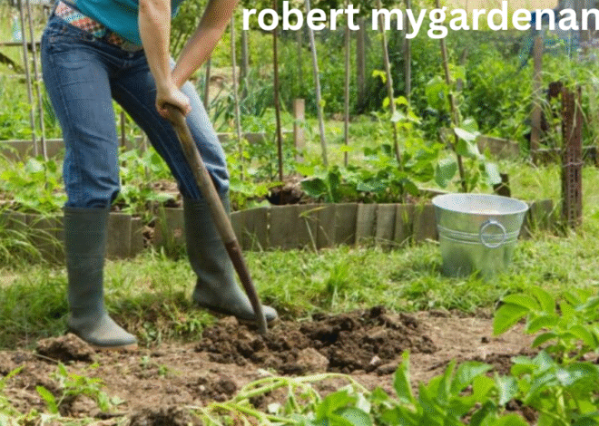 Robert mygardenandpatio- Revolutionizing Outdoor Living Spaces
