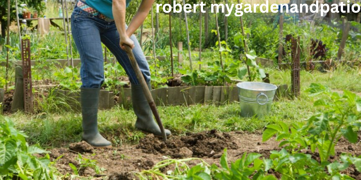 Robert mygardenandpatio- Revolutionizing Outdoor Living Spaces
