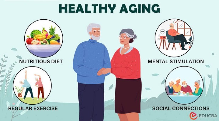 Problem-Focused Coping Strategies to Empower Aging Adults